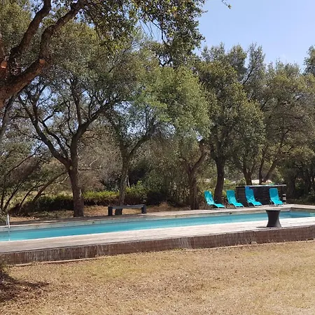 De 90m2 Proche De La Avec Grande Piscine Monti Apartment Canale-di-Verde